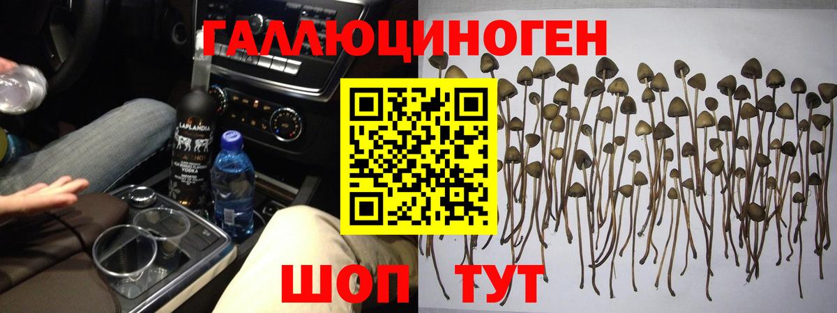 Галлюциногенные грибы мицелий Рязань